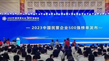 欧洲杯投注上官网ag点top集团位列2023中国民营企业500强第203位、2023中国制造业民营企业500强第139位